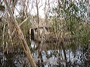 dsc00598